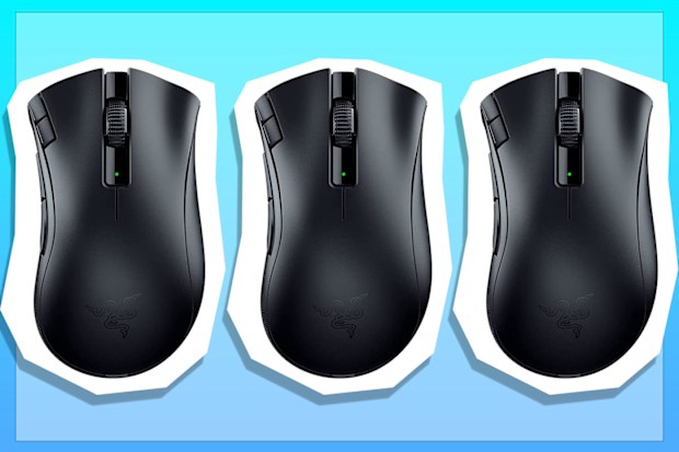 Razer DeathAdder V2 X Hyperspeed Wireless Ergonomic Gaming Mouse