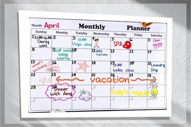 Rabbitgoo Dry Erase Monthly Calendar 2022 Fridge Magnetic Calendar 43 x 30 cm whiteboard organiser
