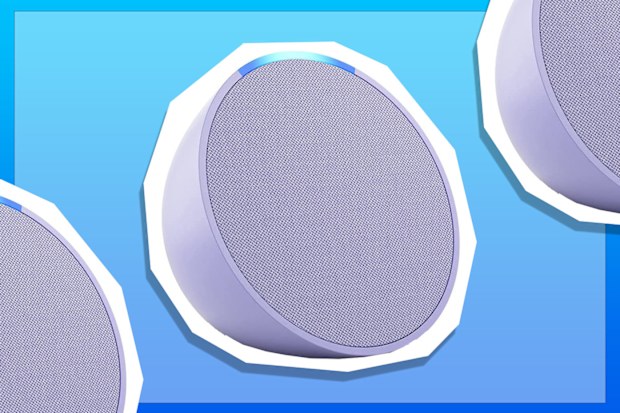 9PR: Echo Pop, Lavender Bloom