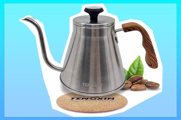 TENGXIN Gooseneck Kettle Spout Pots, 32oz (1.1L)