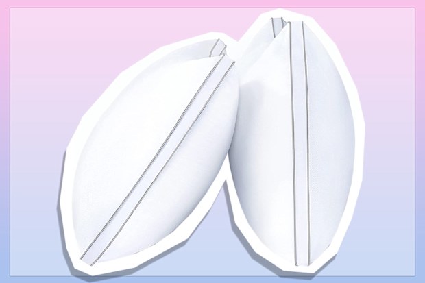 9PR: viewstar Pillows King Size, 2 Pack