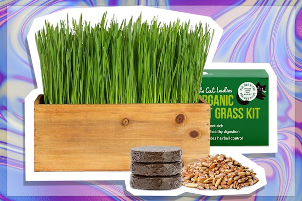 9PR: The Cat Ladies Cat Grass Kit