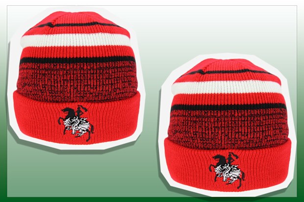 9PR: Dragons Beanie