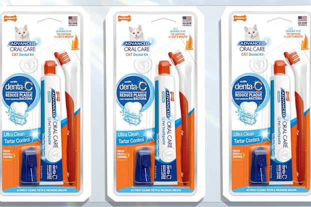 9PR: Nylabone Advanced Oral Care Cat Dental Kit