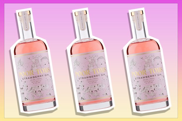 9PR: Poor Tom's Strawberry Gin
