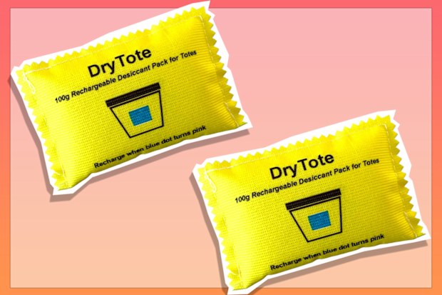 9PR: 100g yellow rechargeable desiccant pack 