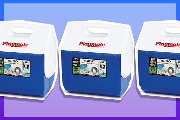 9PR: IGLOO Playmate Elite Compact Coolbox