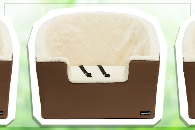 9PR: Amazon Basics Pet Car Booster Bucket Seat