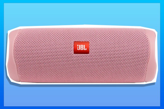 9PR: JBL FLIP 5 Portable Waterproof Speaker Pink