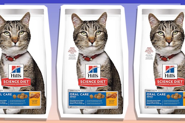 9PR: Hill's Science Diet Oral Care Adult Chicken Rice & Barley Dry Cat Food for Dental Health