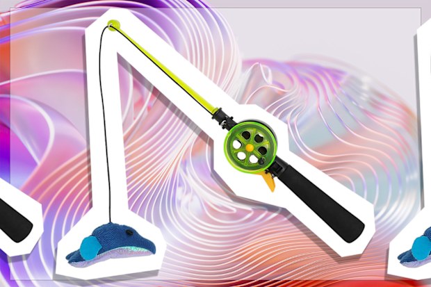 9PR: Lexi & Me Cat Fishing Rod Toy