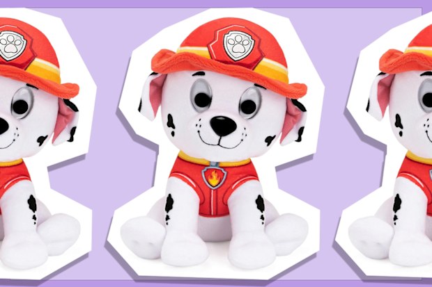 9PR: Paw Patrol Marshall Plush Toy, 22.8cm