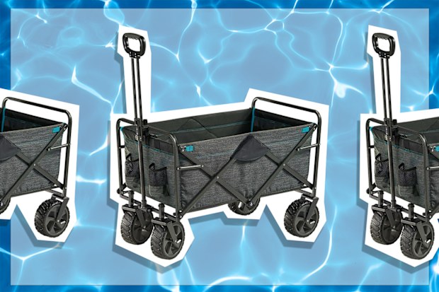 9PR: Mac Sports Folding Beach Trolley