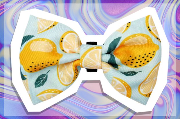 9PR: Lexi & Me lemon-themed bowtie