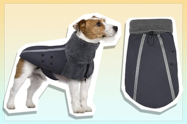 9PR: SlowTon Winter Dog Coat, Medium, Grey