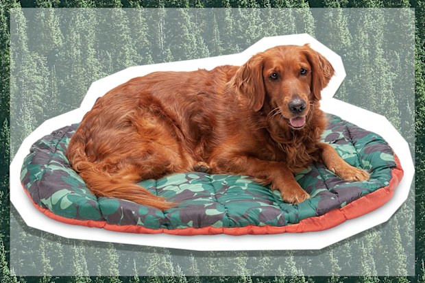 9PR: Furhaven Camping Pet Pillow