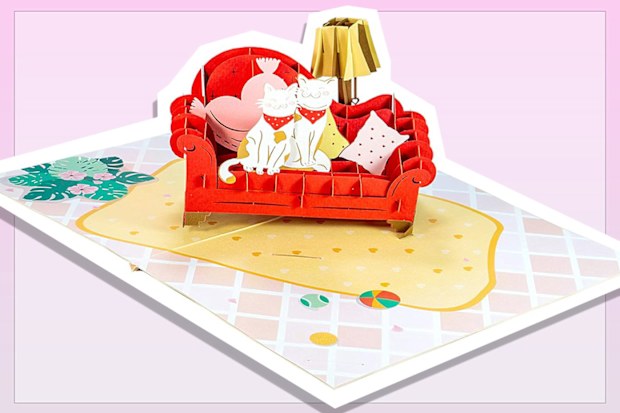 9PR: Cat Couple On Sofa Pop-Up Card 