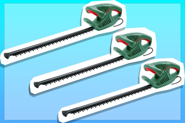 Bosch 450 Watt Corded Electric Garden Hedge Trimmer, 550 mm Blade