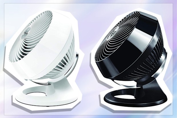 9PR: Vornado 660 Air Circulator, White and Black