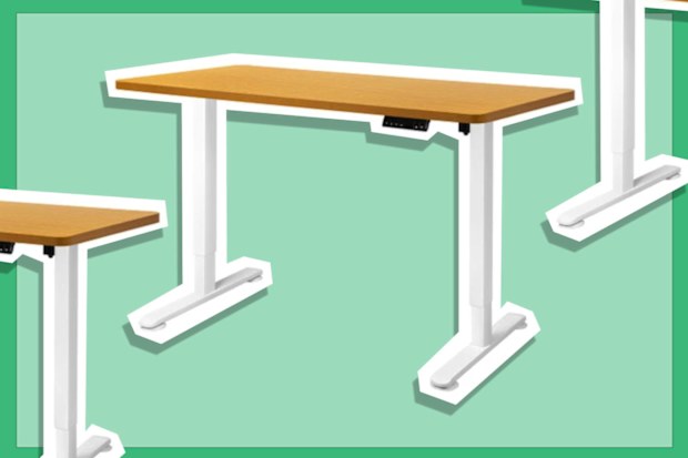 9PR: Levede Motorised Standing Desk