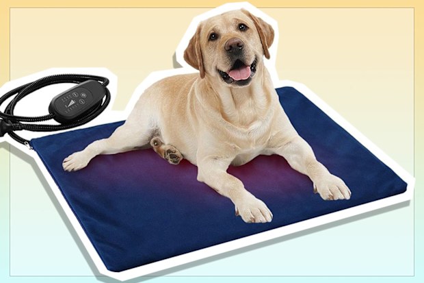 9PR: Petscene Heated Pet Mat with Thermal Protection