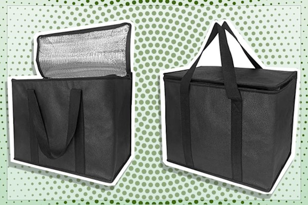 9PR: Yalin Insulated Cooler Bags with Zipper Closure