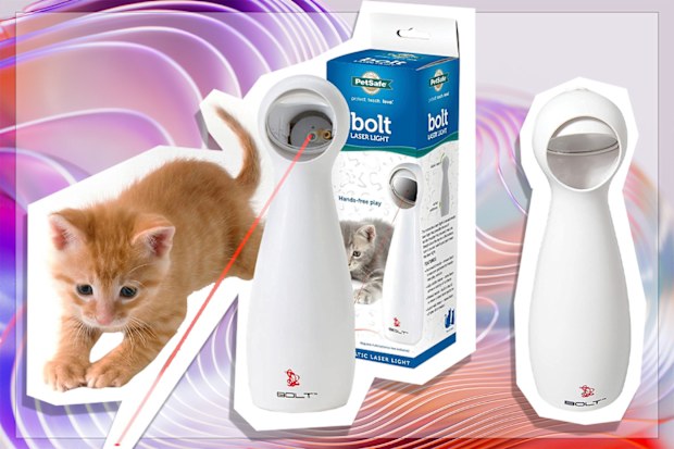 9PR: PetSafe Bolt Interactive Laser Cat Toy