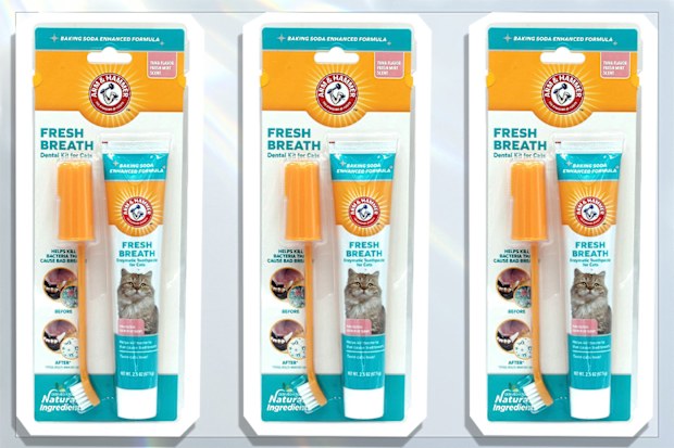 9PR: Arm & Hammer Cat Dental Kit