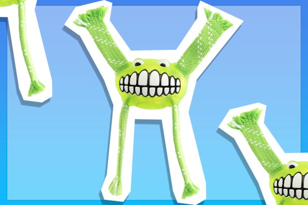 9PR: Rogz Flossy Grinz Throw and Fetch Dental Dog Toy
