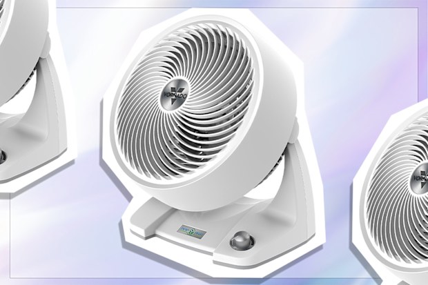 9PR: Vornado 633DC Energy Smart Air Circulator