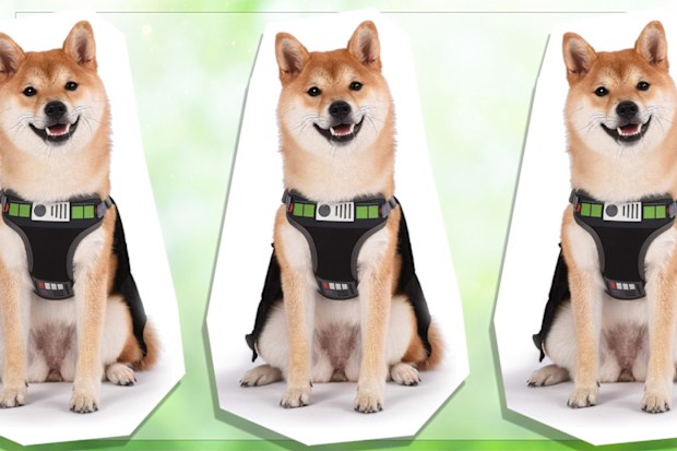 9PR: Marvel Star Wars Darth Vader Dog Harness