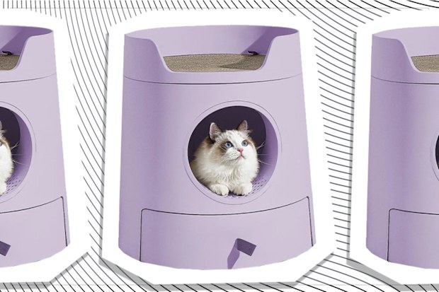 9PR: Michu Mayitwill XL Castle 2-in-1 Front-Entry Cat Litter Box with Scratch Pad, Lilac Purple