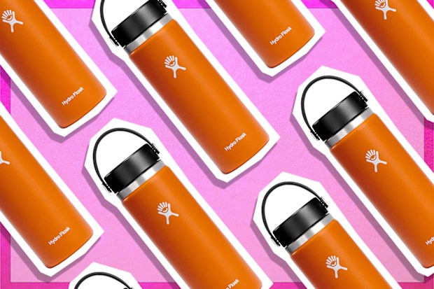9PR: Hydro Flask 20 oz Wide Mouth with Flex Cap Stainless Steel Reusable Water Bottle