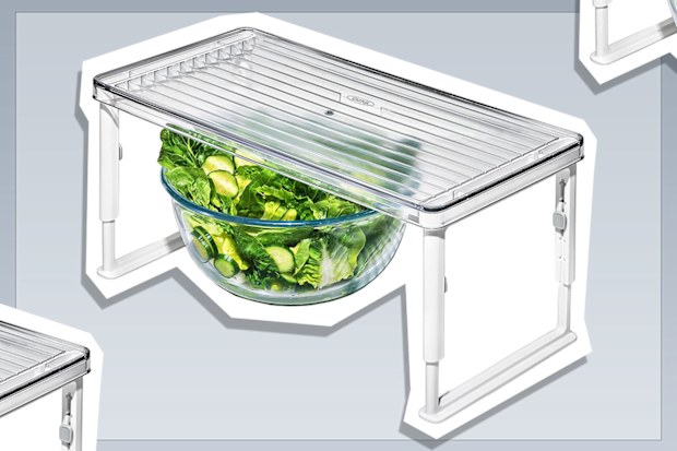 9PR: OXO Good Grips Adjustable Fridge Shelf Riser