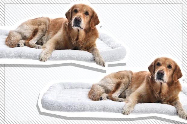 9PR: Faux-Sherpa Padded Bolster Pet Bed, X-Large