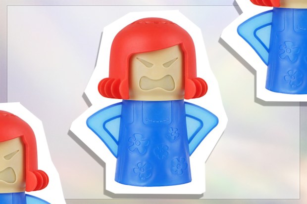 9PR: Angry Mama Microwave Cleaner