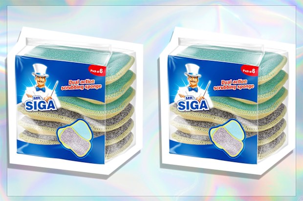 MR.SIGA Dual Action Scrubbing Sponge, Pack of 6, Size:15x8.5x2.3cm