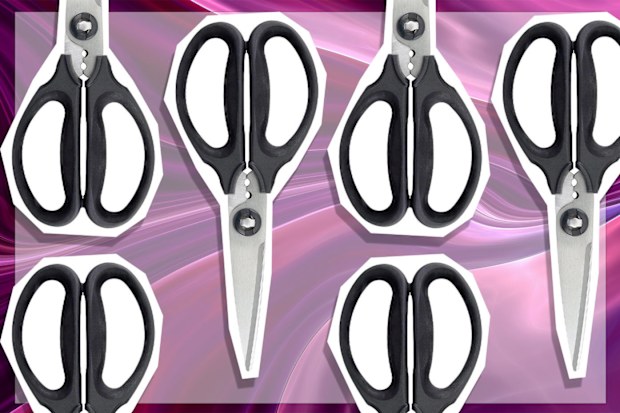 9PR: Good Grips Kitchen and Herb Scissors