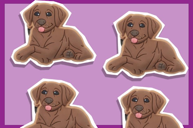 9PR: Dog Jibbitz
