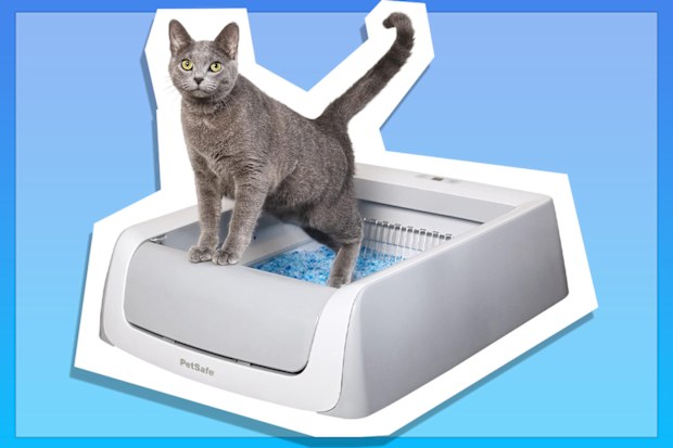 9PR: PetSafe ScoopFree Automatic Self-Cleaning Cat Litter Box