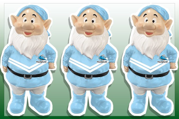 9PR: Cronulla Sharks NRL Mini Team Garden Gnome