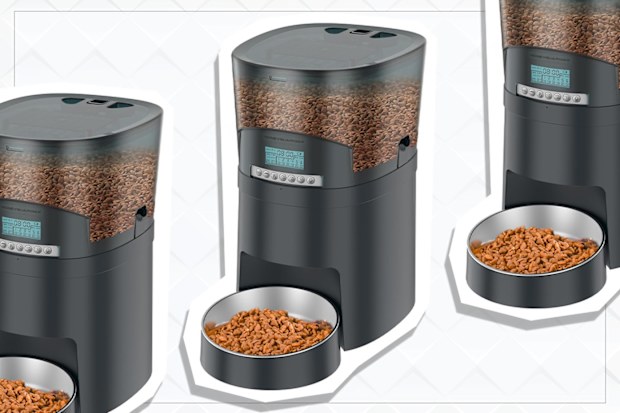 9PR: HoneyGuardian Automatic Cat Feeder 