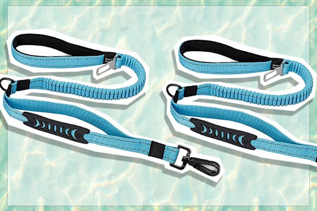 9PR: Bungee dog leads for car safety.