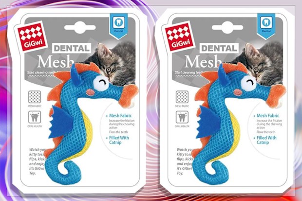 9PR: GiGwi Dental Mesh Seahorse With Catnip