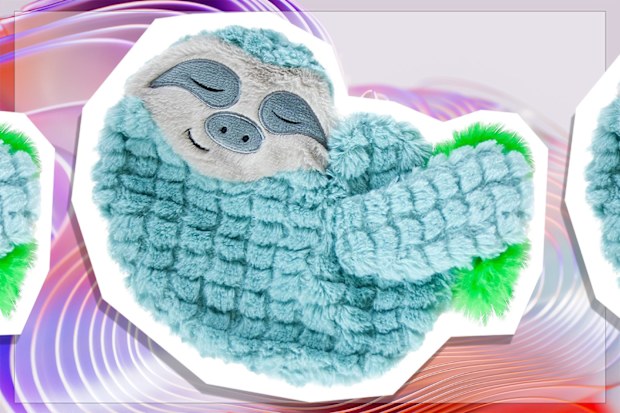 9PR: Petstages Catstages Purr Pillow Snoozin' Sloth Soothing Plush Cat Toy
