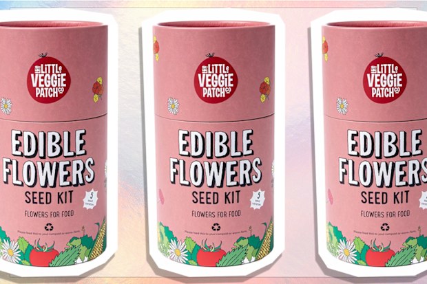 9PR: Little Veggie Patch Co Edible Flowers Seed Kit
