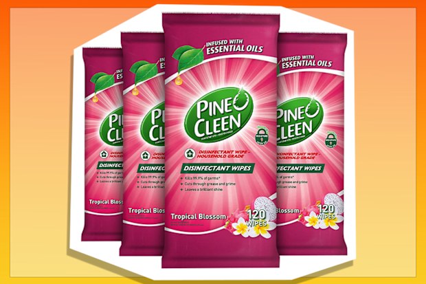 9PR: Pine O Cleen Antibacterial Disinfectant Cleaning Wipes, Tropical Blossom, 480 Pack 