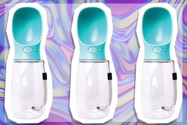 9PR: Zenify Pet Water Bottle, Blue