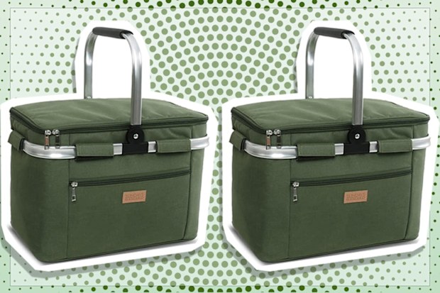 9PR: Sundays Leisure Insulated Picnic Basket Shopping Bag