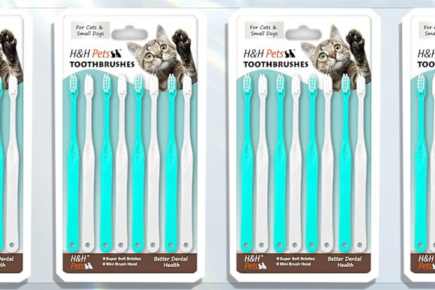 9PR: H&H Pets Small Dog & Cat Finger Toothbrush
